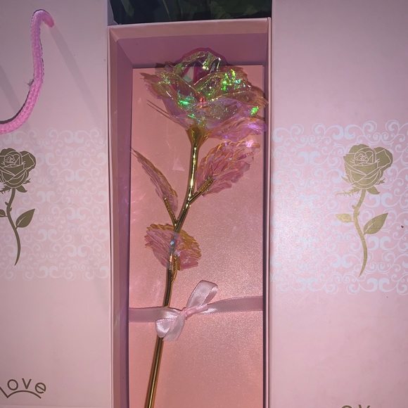 Colorful roses - Picture 3 of 3